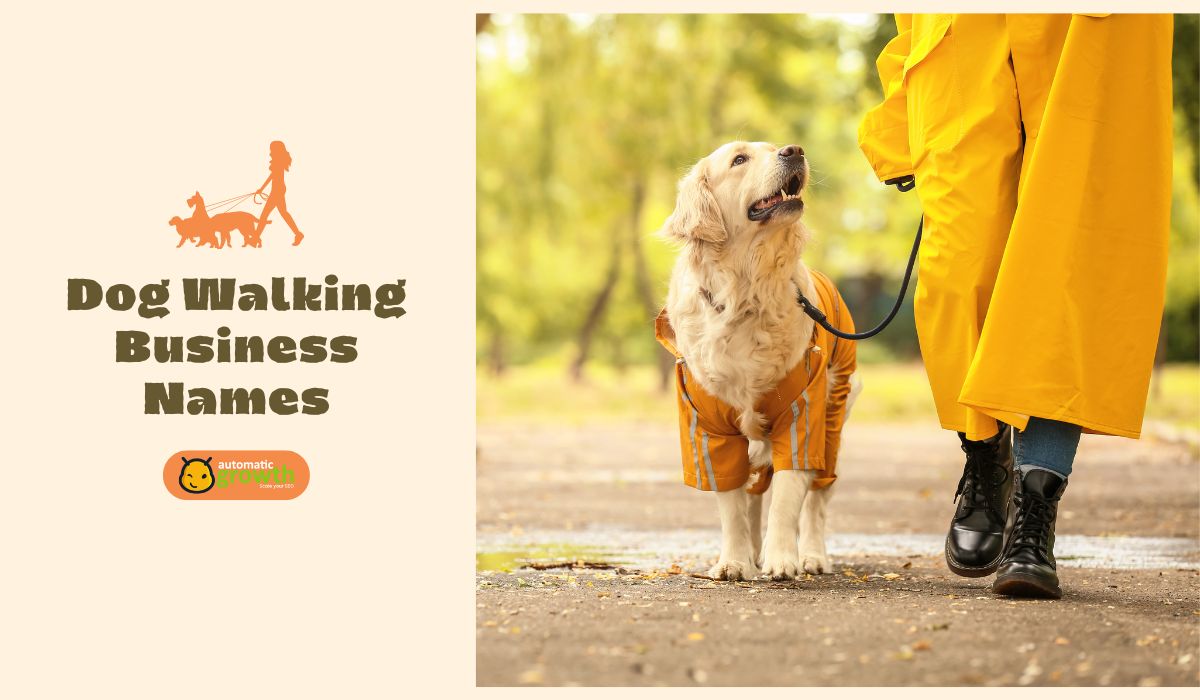 188+ Catchy Dog Walking Business Names: Stand Out in the Pet Industry