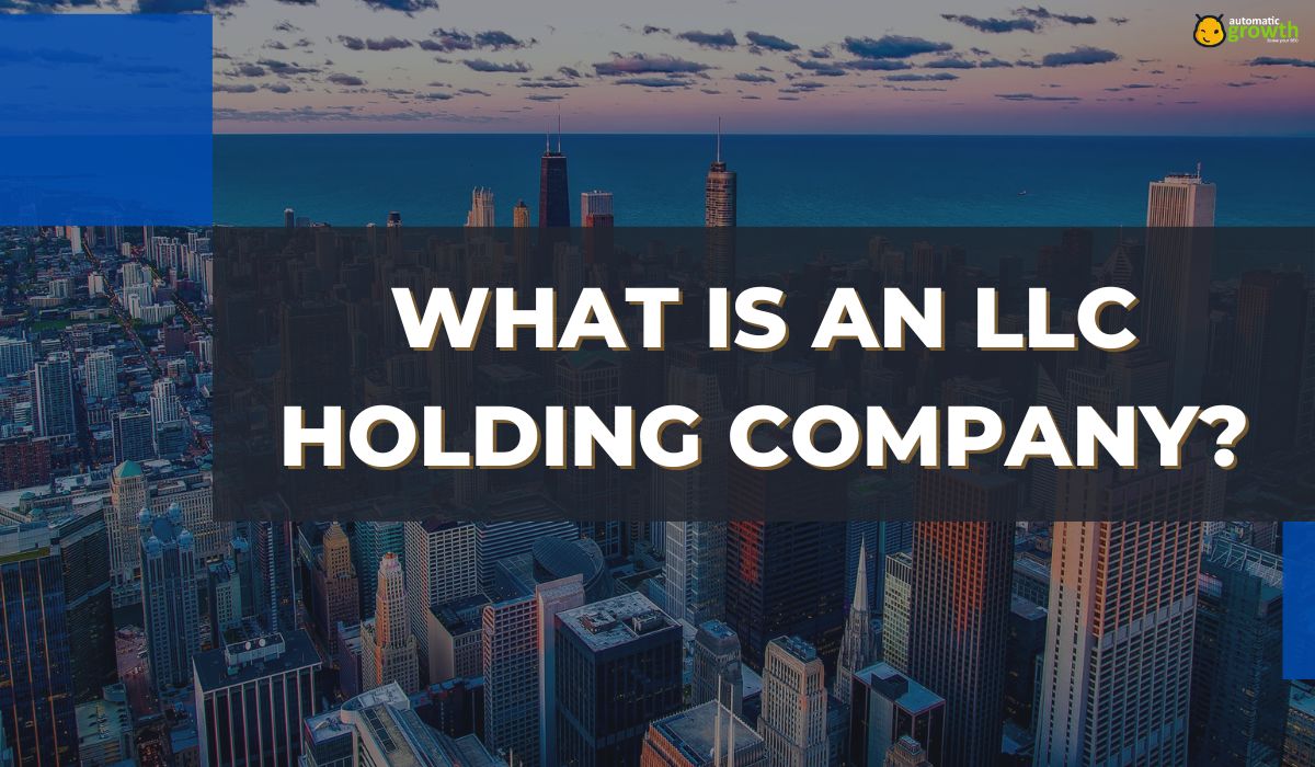 What is An LLC Holding Company?